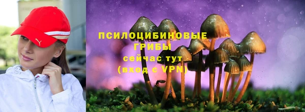 a pvp Ладушкин
