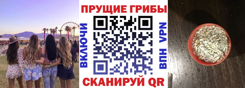 Псилоцибиновые грибы Magic Shrooms  Павлово 