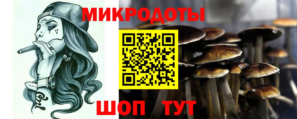 Павлово  Галлюциногенные грибы GOLDEN TEACHER  где можно купить   Вход с VPN 